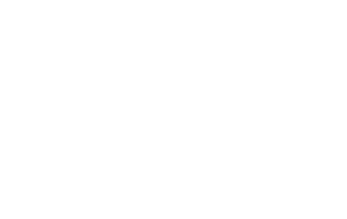 Central Michigan Logo