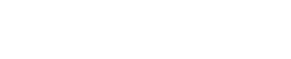 Navarro logo